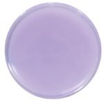 Biljna mast sa uljem lavande HERB EXTRACT 100 ml - Slika 2