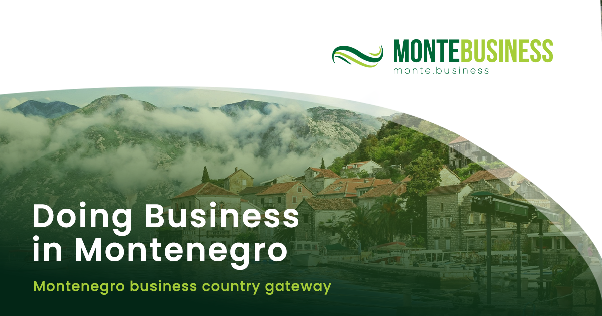 Monte Business logo